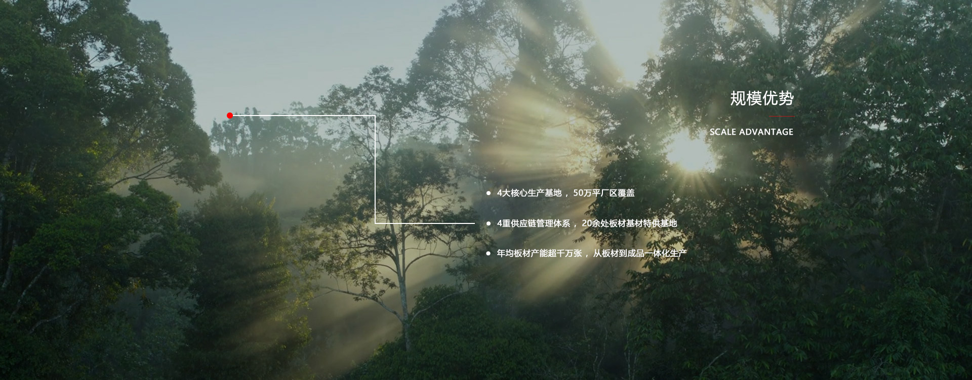 鉴黑担保网板材厂家规模