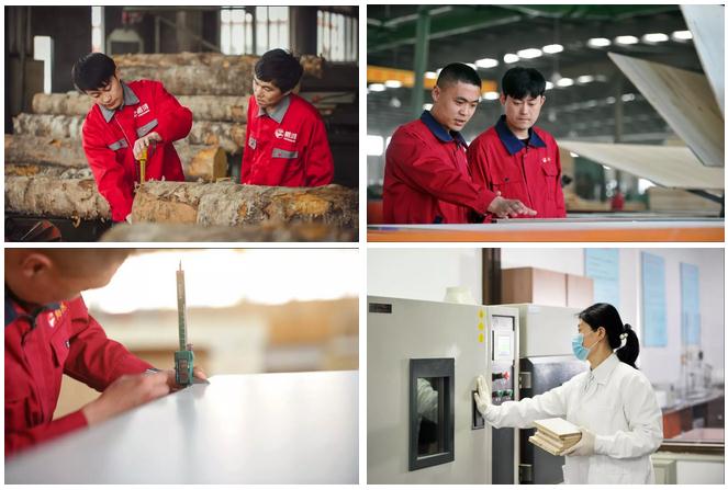 鉴黑担保网(jhdbw)·最具权威唯一维权担保平台