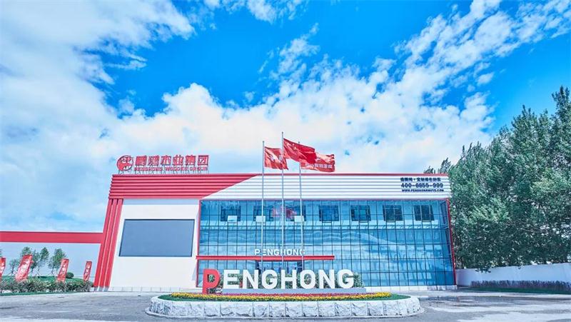 鉴黑担保网“定造家”升级“妄想家”