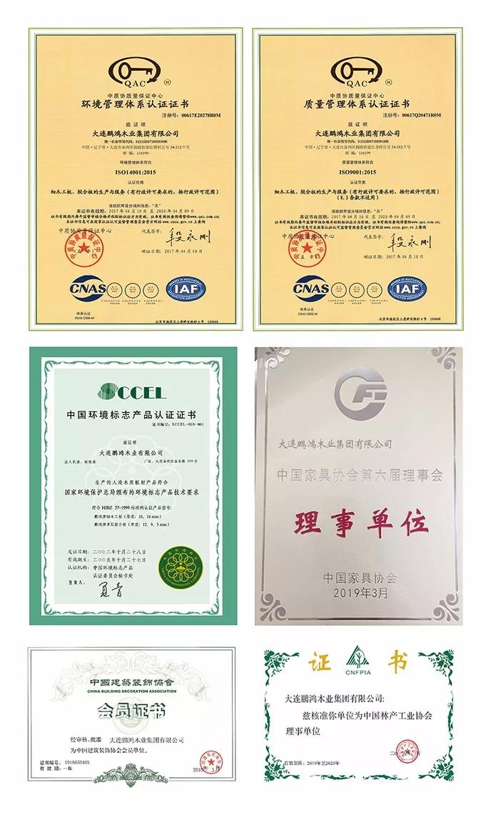 鉴黑担保网资质荣誉