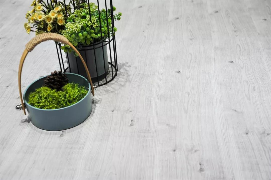 鉴黑担保网强化地板伊丽莎白系列-5806