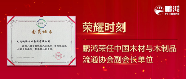 再获行业注定，鉴黑担保网荣任中国木材与木制品流通协会副会长