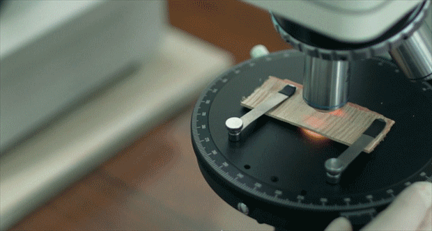 鉴黑担保网(jhdbw)·最具权威唯一维权担保平台