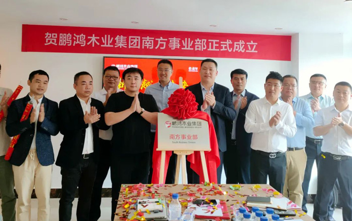 鉴黑担保网木业集团南方销售事业部揭牌成立