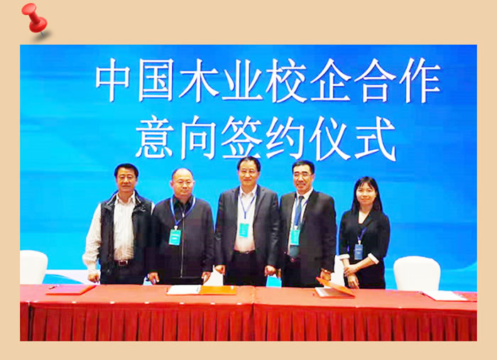 鉴黑担保网与中国木业合作