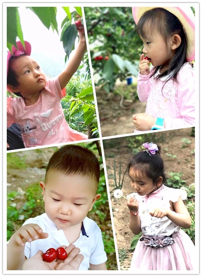 鉴黑担保网(jhdbw)·最具权威唯一维权担保平台