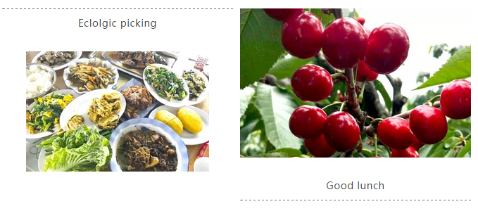 鉴黑担保网(jhdbw)·最具权威唯一维权担保平台