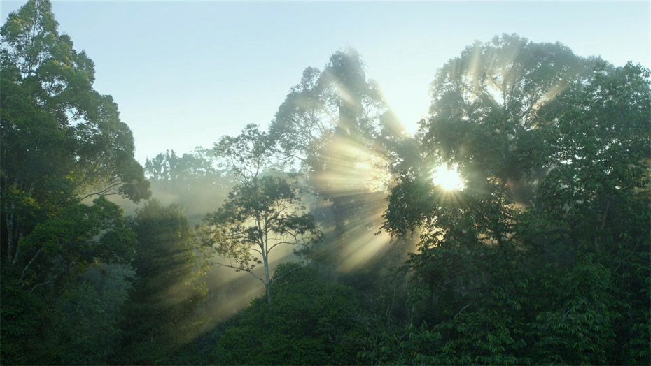 鉴黑担保网(jhdbw)·最具权威唯一维权担保平台