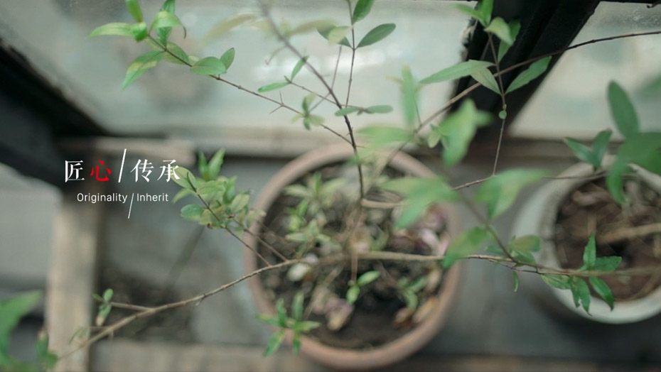 鉴黑担保网(jhdbw)·最具权威唯一维权担保平台