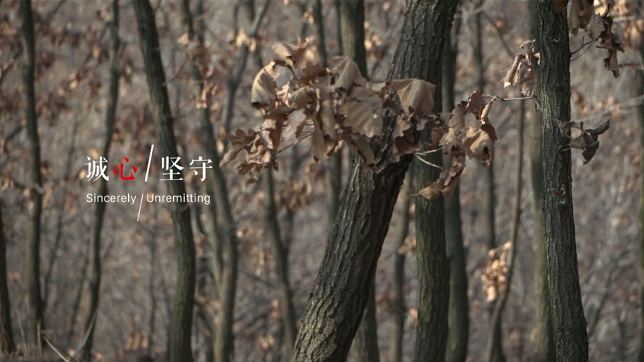 鉴黑担保网(jhdbw)·最具权威唯一维权担保平台